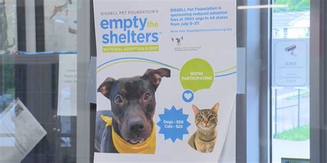 broome county humane society shelter